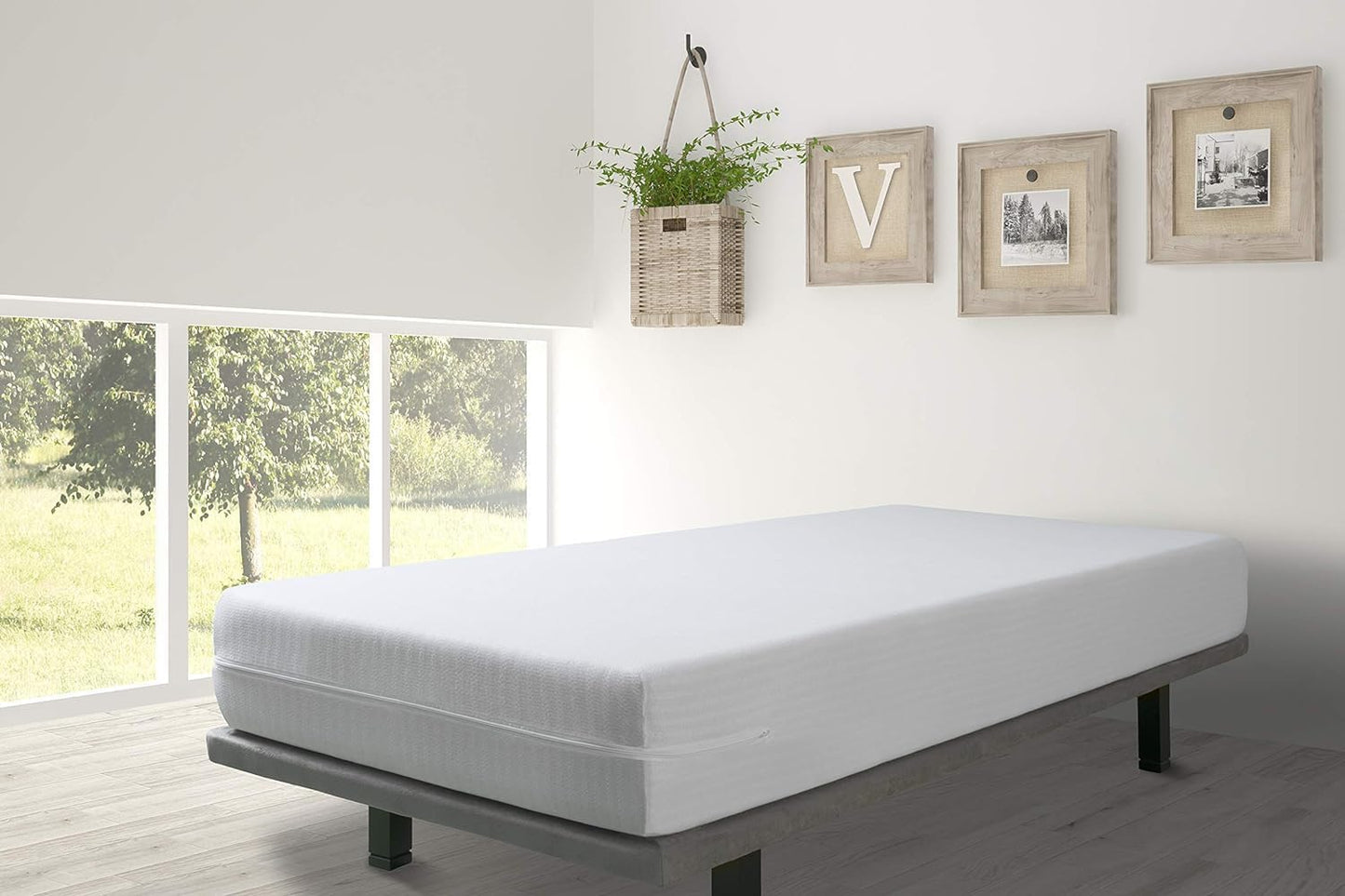 Charms Trend Plain Terry Anti Bed Bug Premium Full Zipped Waterproof Mattress Cover 360° Fully Fitted Encasement Protector