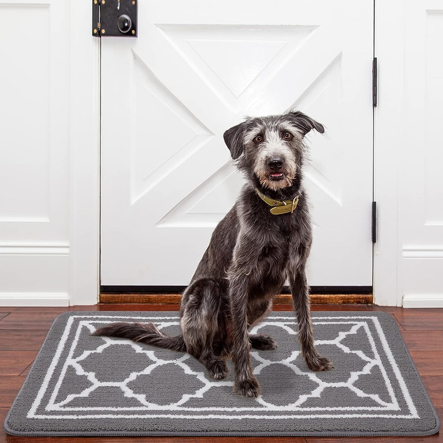 Washable Door Mats Indoor